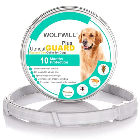 Best Flea And Tick Collar For Dogs Durable And Easy To Use
