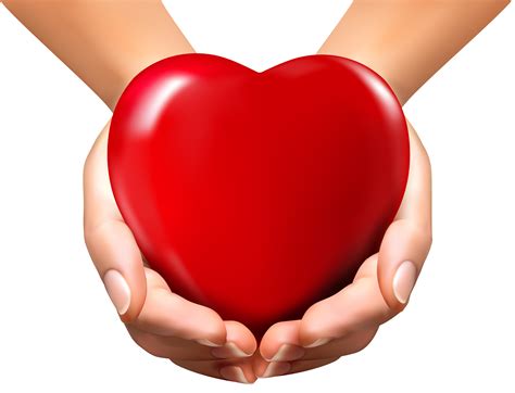 Hands Holding Heart Clipart | Free download on ClipArtMag png image