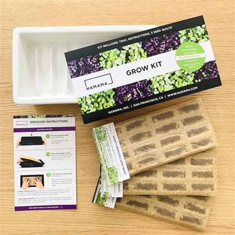 Easy Microgreen Kit For Growing Microgreens At Home Hamama Hamama