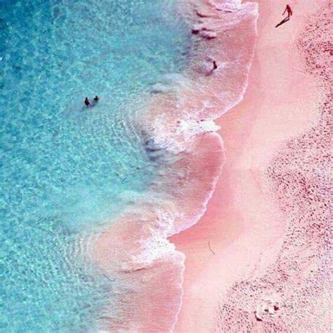 Pink Sand Beach In The Bahamas Looking Very Trans Pride Y 💙💖 R