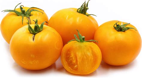 Red Oxheart Tomato 20 Seeds Hirts Gardens
