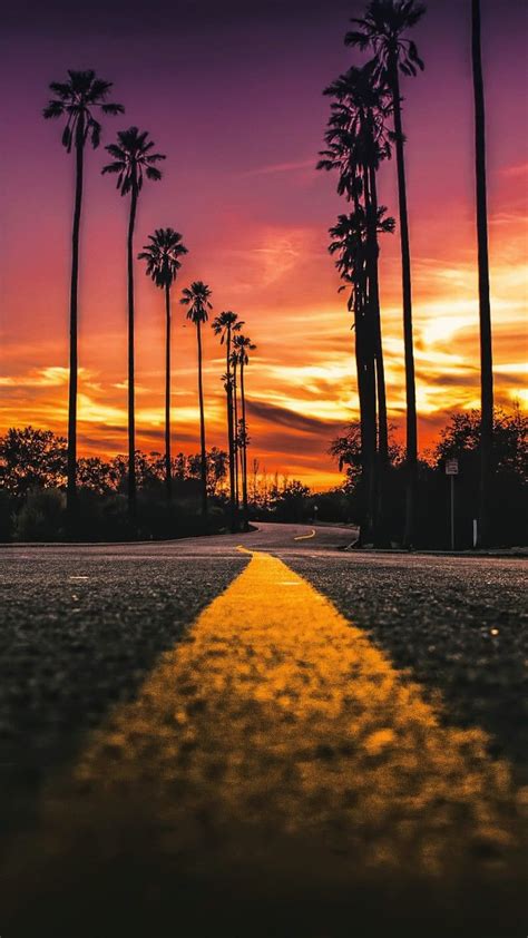 Stock Los Angeles California Road Palms Sunset California City Hd