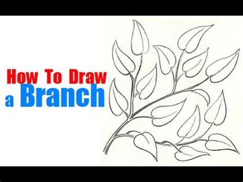 We did not find results for: How to Draw a Tree Branch - YouTube
