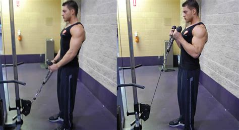 Cable Curl With Rope The Optimal You Online Personal Training