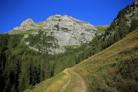 Trentino Val Madris Flickr