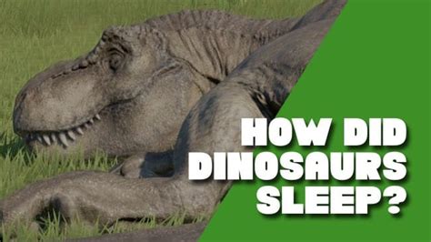 How Did Dinosaurs Sleep Standing Or Laying Eyes Closed Or Opened