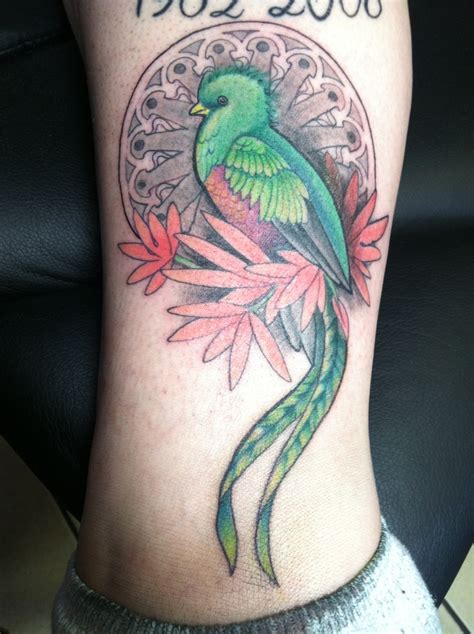 quetzal bird quetzal tattoo arm tattoos for guys