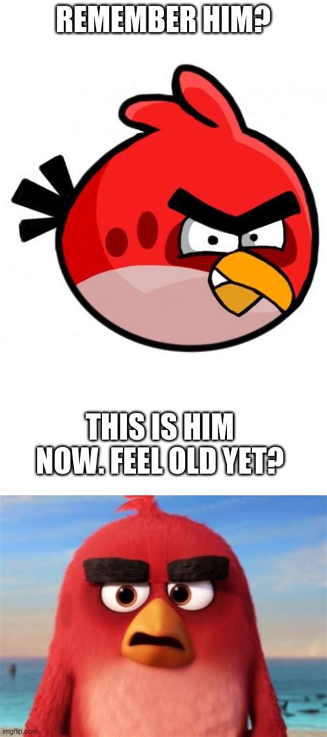 Angrybirds Memes And S Imgflip