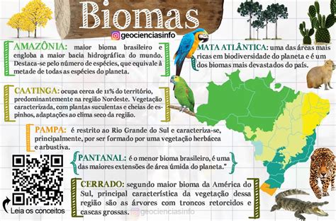 Mapa Mental Sobre Biomas Brasileiros Study Maps