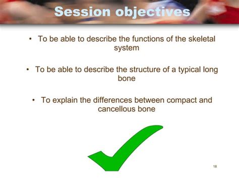 Principles Of Ap 1112 Session 2 Skeletal System Functions Of