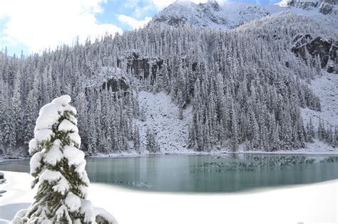 Exploring Whistler And Beyond Cheakamus And Joffre Lakes From