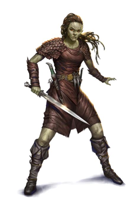 female half orc rogue fighter pathfinder pfrpg dnd dandd 3 5 5th ed d20 fantasy female orc