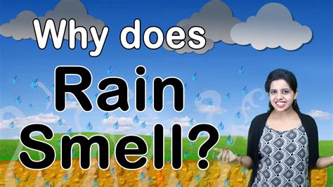 Why Does Rain Smell Interesting Science Facts Letstute Youtube