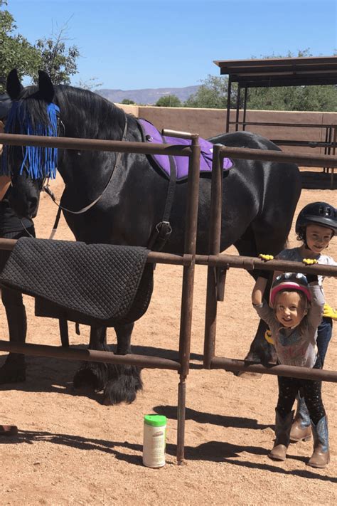 How To Safely Introduce Kids To Horses