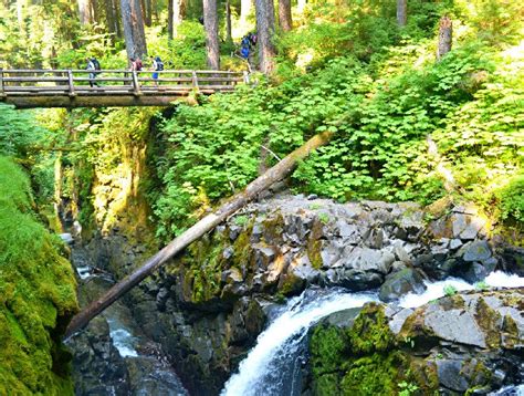 12 Top Rated Hiking Trails In Olympic National Park Planetware Best