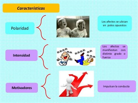 Los Procesos Afectivos