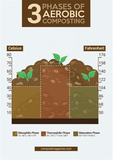 The Science Of Composting How Compost Happens Compost Magazine