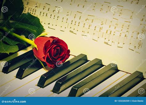 Romantic Concept Red Rose On Piano Keys Stock Image Image Of