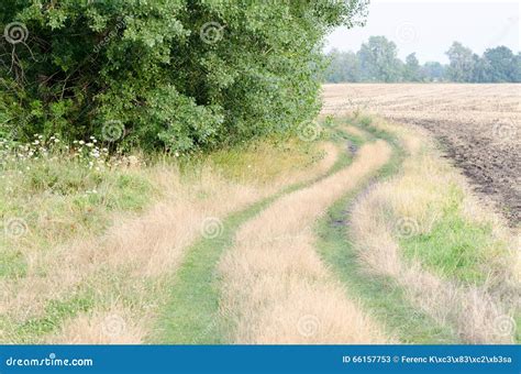 Dirt Road Covered With Grass Horizontal Stock Image Image Of Grass