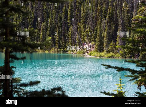 Lower Lake Joffre Lakes Provincial Park Canada Stock Photo Alamy