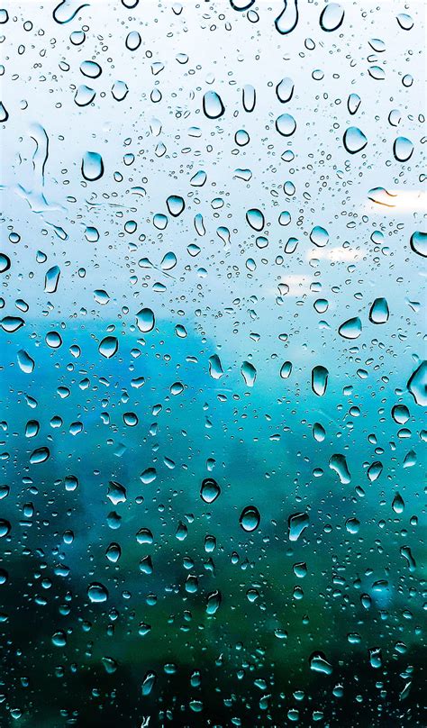 Rain Drops Edge Glass Live Raindrops Screen Silhouette Water Hd