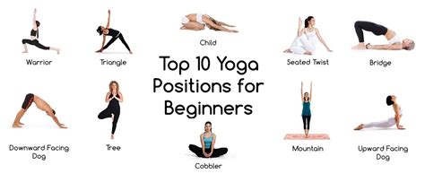 yoga beginners | Yoga positions for beginners, Yoga poses for beginners, Yoga for beginners