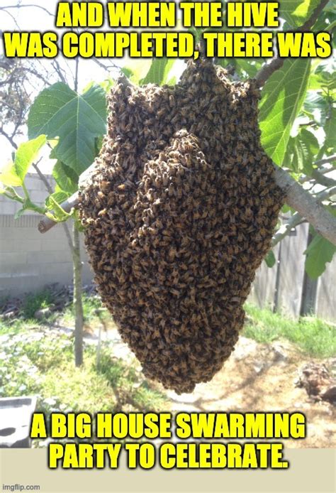 Bees Imgflip