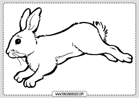 Imprimir Y Colorear Dibujo De Conejo Rincon Dibujos