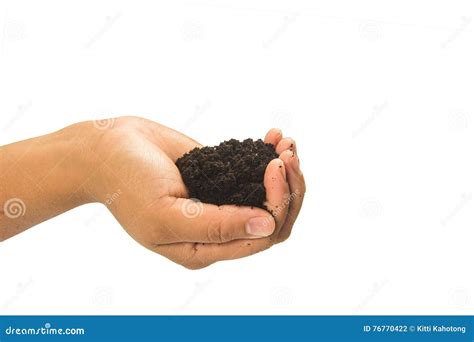 Soil In Hands On White Background Stock Photo Image Of Gardening