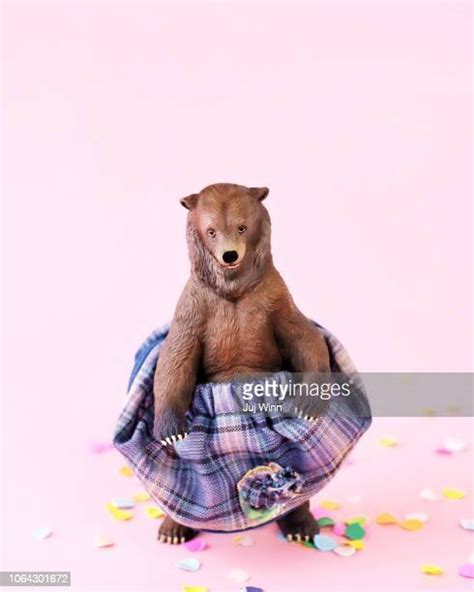 Dancing Bear Photography Photos And Premium High Res Pictures Getty Images