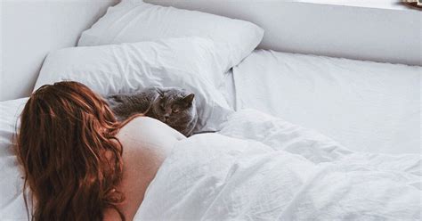 Should You Let Your Cat Sleep In Bed With You