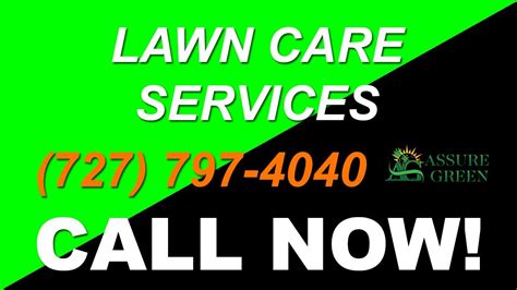 Great central location, in between both bases & 1 block away from kenwood elementary! Lawn Care Service Oldsmar FL - Assure Green - YouTube