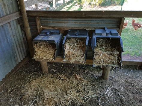 Quirky Chook Nesting Boxes Nesting Boxes Quirky Gardening Lawn And