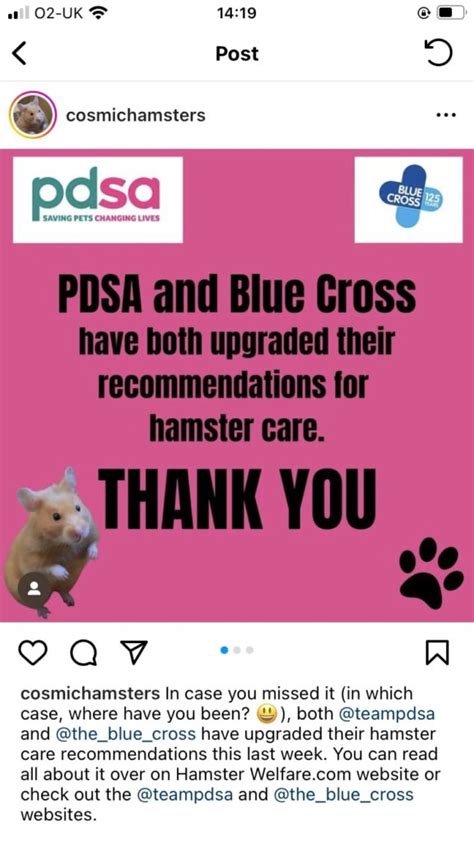 Pdsa Recommend 100cm X 50cm Hamster Cage Size