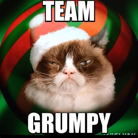 Team Grumpy Cat Christmas Edition Grumpy Cat Know Your Meme