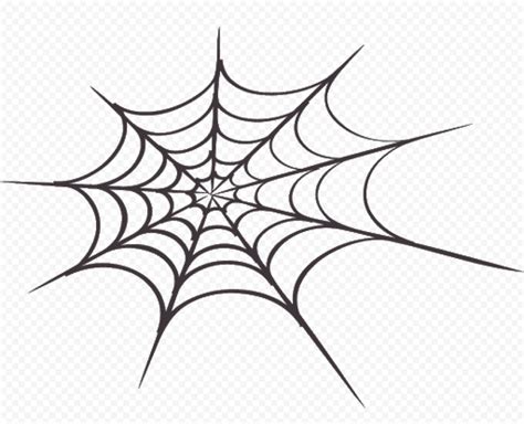 Hd Spider Web Draw Png Citypng