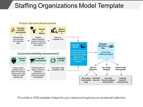 Staffing Organizations Model Template Templates Powerpoint Slides