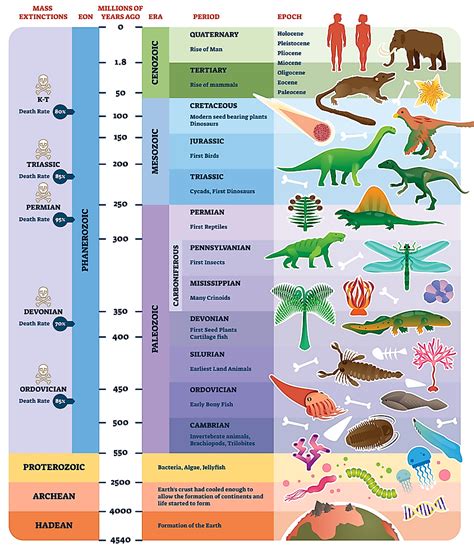 Evolution Of Life
