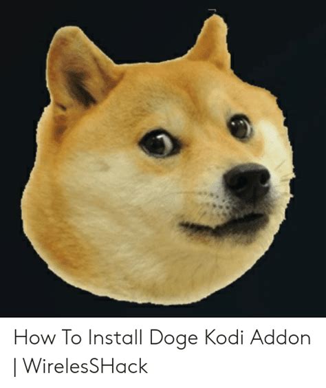 Stop Doge Roblox
