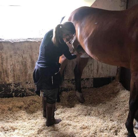 Sheath Queen Reveals Why Clean Horses Genitals For £25 A Go
