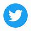 Twitter Icon Circle Blue Logo Preview  UD1911