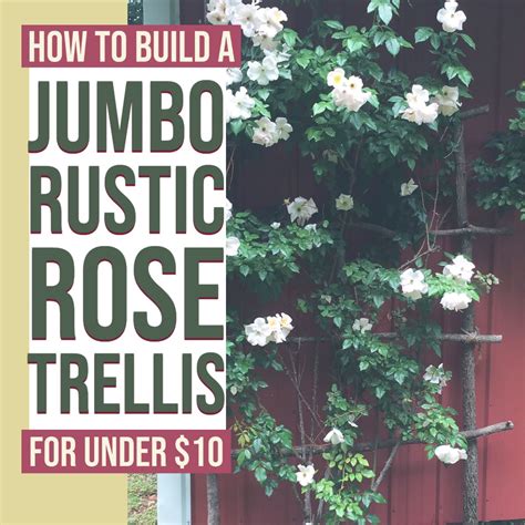 Diy Rose Trellis How I Made A Rustic Oversized Garden Trellis For 5