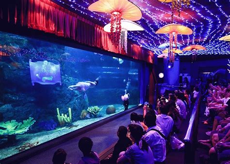 Океанариум Siam Ocean World развлечение в Бангкоке — Туристим