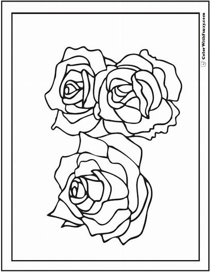 Coloring Pages Roses Rose Three Printable Printables