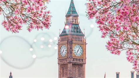 Free Download London In Spring Big Ben In Spring Cheery Blossom London