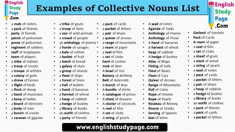 Examples Of Collective Nouns List In English English Study Page