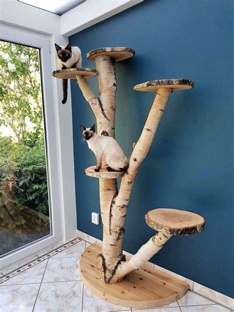 15 Best Outdoor Cat Tree Ideas And Plans Diy Cat Tree Custom Cat