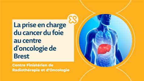 Cancer Du Foie Symptômes Espérance De Vie Oncologie Brest