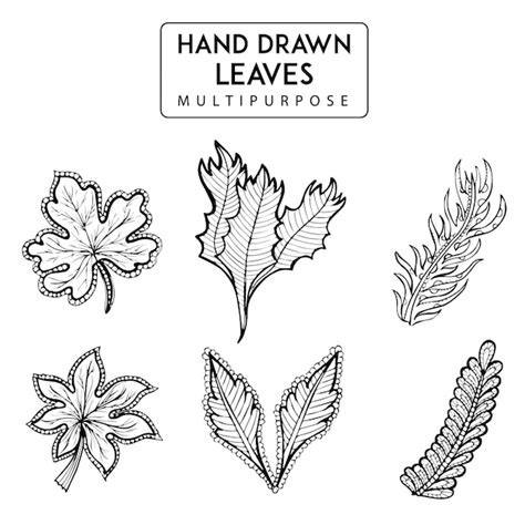 Premium Vector Hand Drawn Leaves