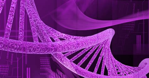 Las Diferencias Entre El ADN Y El ARN Explicadas 33216 Hot Sex Picture